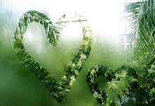 IMsports-苏炳添在比赛中受伤退赛，曼联主帅表示担忧